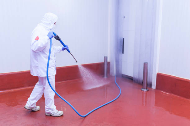 Best Sidewalk and Walkway Cleaning  in Grayson, CA